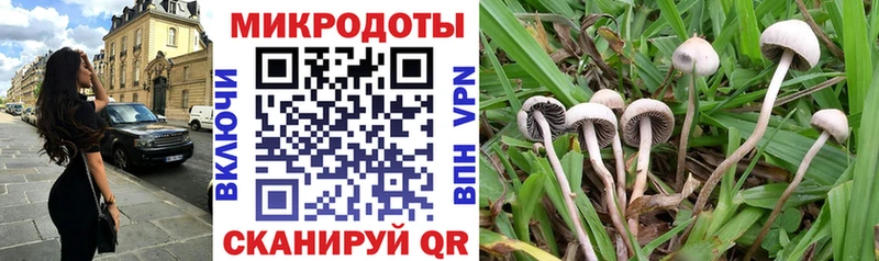 Галлюциногенные грибы MAGIC MUSHROOMS  omg зеркало  Нестеровская 